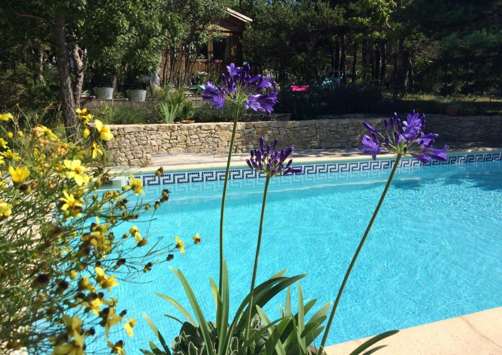 a blue swimming pool with purple flowers next to it at Le Mapillon in Dieulefit