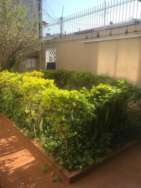  Aeroporto GRU Conforto e tranquilidade