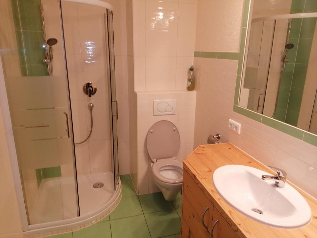 Kúpeľňa v ubytovaní Apart Tiefenbach
