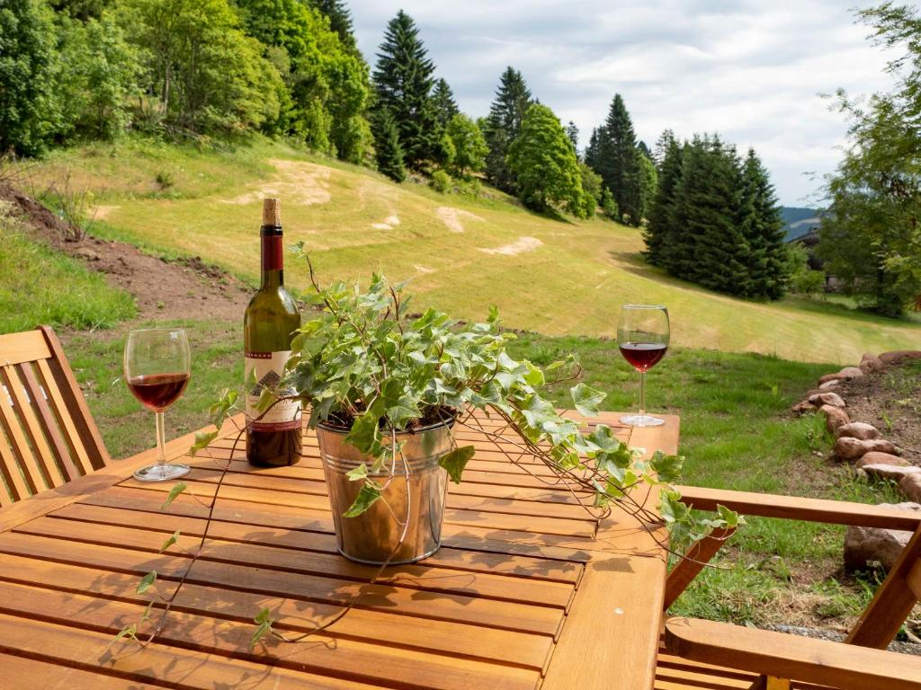 Black Forest Apartements by Hotel Grüner Baum Feldberg - 19