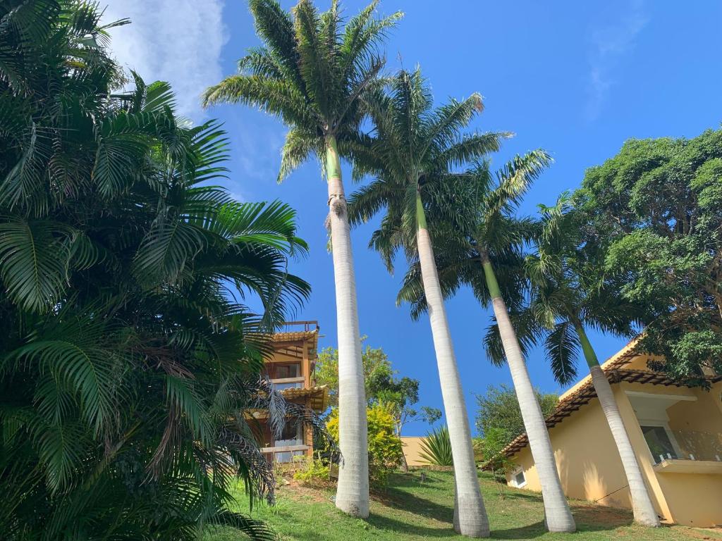 Praia da Ferradurinha Guest House