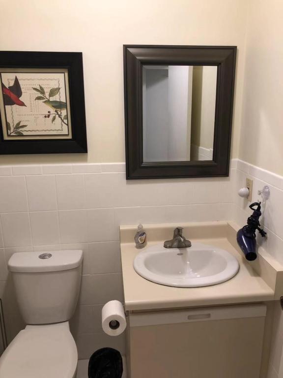 a bathroom with a sink and a toilet and a mirror at Butterfly Manor in Niagara Falls