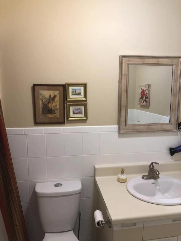 a bathroom with a sink and a toilet and a mirror at Butterfly Manor in Niagara Falls