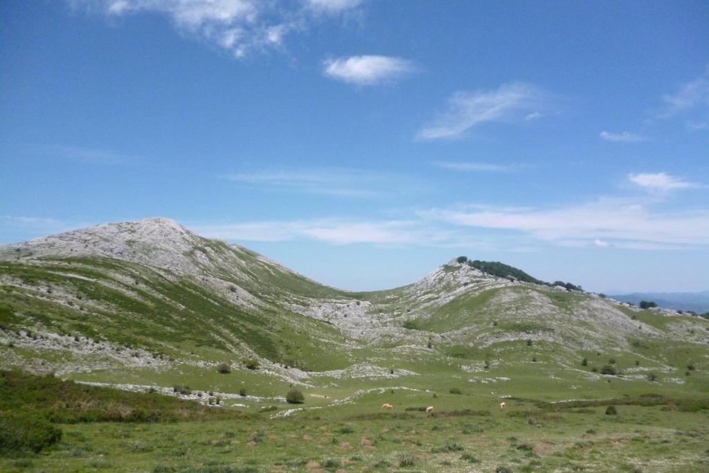Przyroda w pobliżu tego pensjonatu