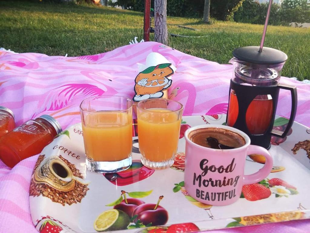 Jídlo v apartmánu nebo okolí