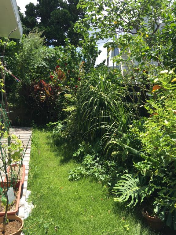 um jardim com plantas verdejantes e uma passagem em Milk-ya Women-Only Guest House em Yomitan