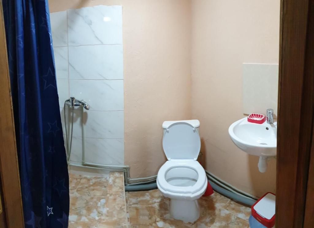Koupelna v ubytování Krainya hata