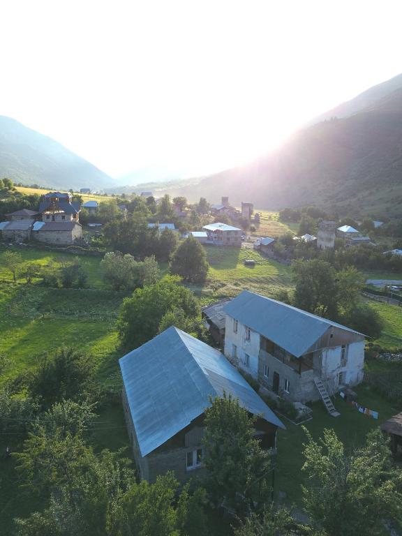 Příroda nedaleko hostelu
