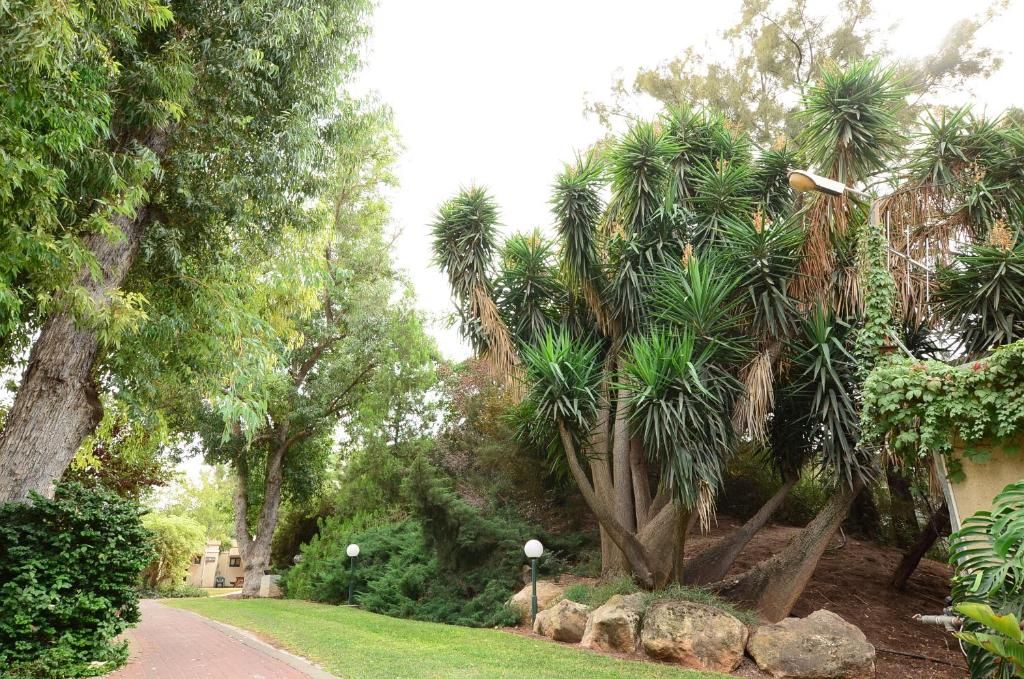 Zahrada ubytování כפר הנופש קיבוץ גדות Kibbutz Gadot Galilean Resort
