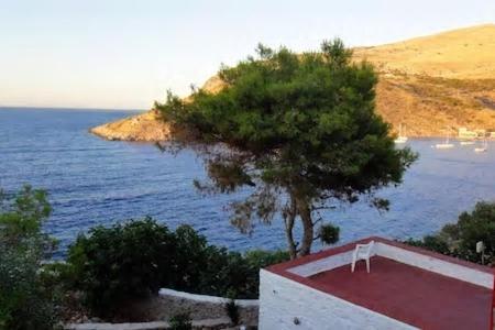 a tree on top of a building next to the ocean at Tramontana in Hydra