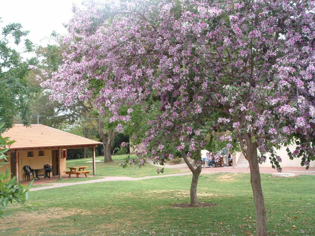 Zahrada ubytování כפר הנופש קיבוץ גדות Kibbutz Gadot Galilean Resort