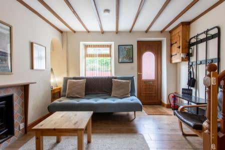 ein Wohnzimmer mit einem Sofa und einem Kamin in der Unterkunft Selah Cottage, 21 Queen Street in Pont-rhyd-y-fen