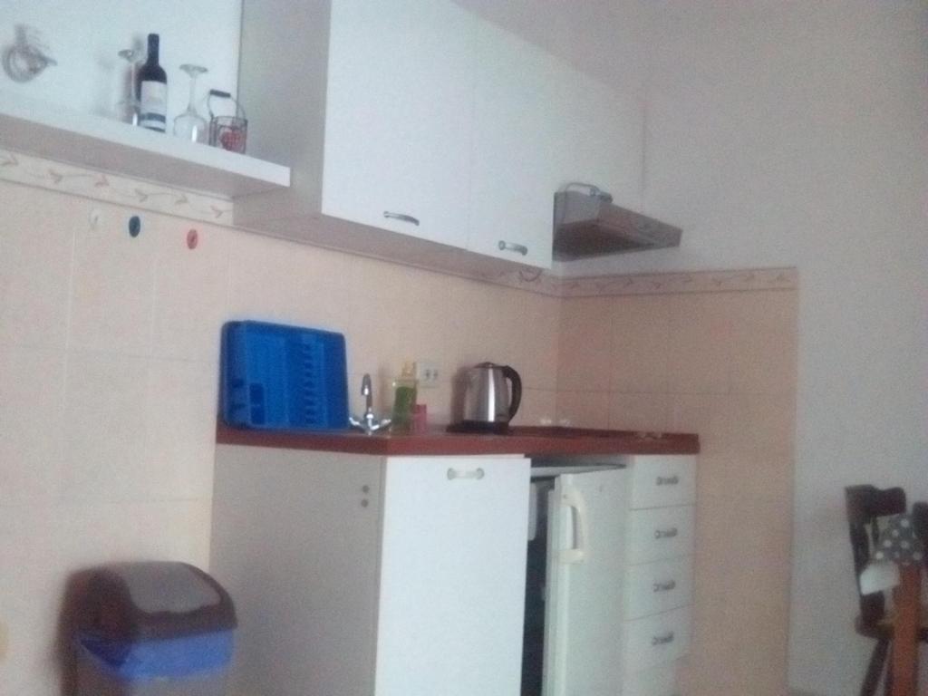 Kuchyň nebo kuchyňský kout v ubytování Apartments Mesec