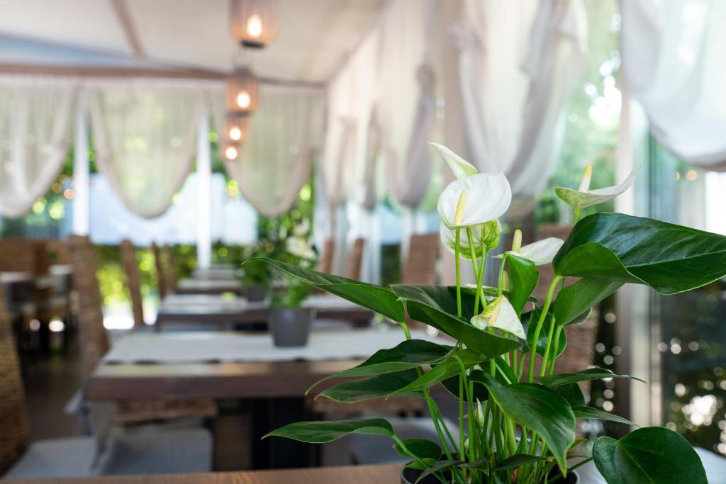 Un restaurante o sitio para comer en Hotel Silver Milano