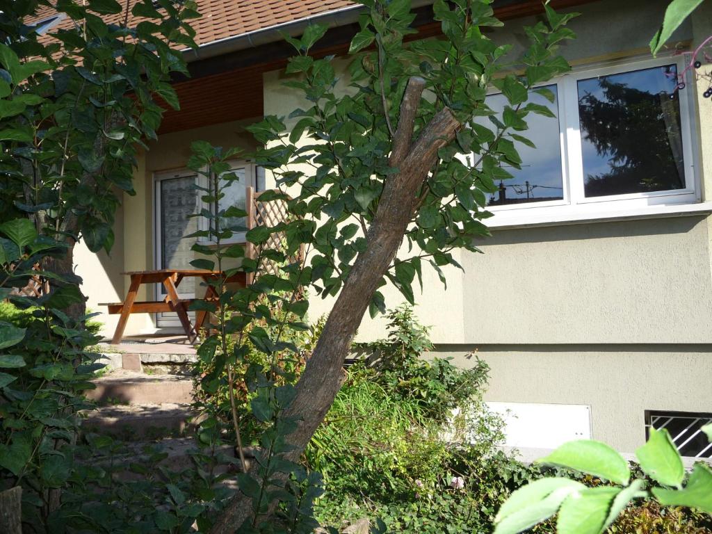 Zahrada ubytování Appartement Sur La Route des Vins d'Alsace