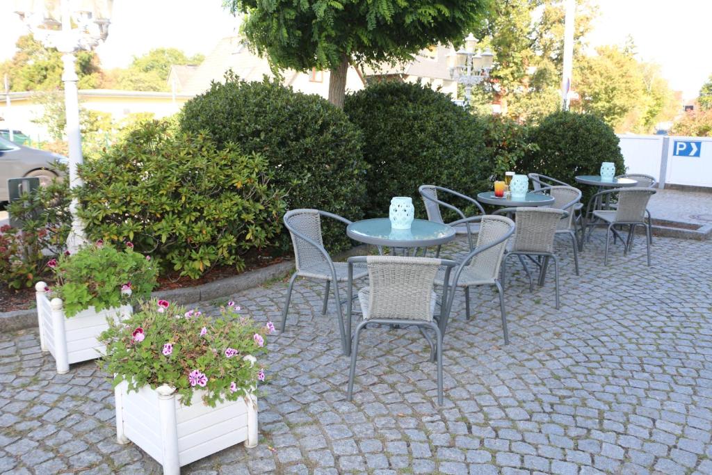 Zahrada ubytování Hotel Friesenhof