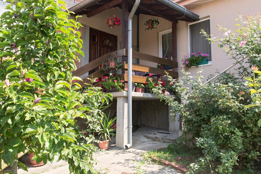 Aed väljaspool majutusasutust Apartman Solomonovic