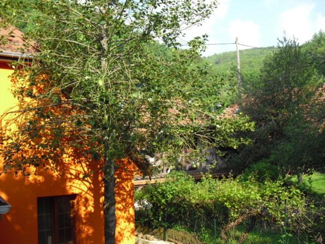 una casa de naranja con un árbol al lado de un edificio en Gite S'Hiesla, en Rammersmatt