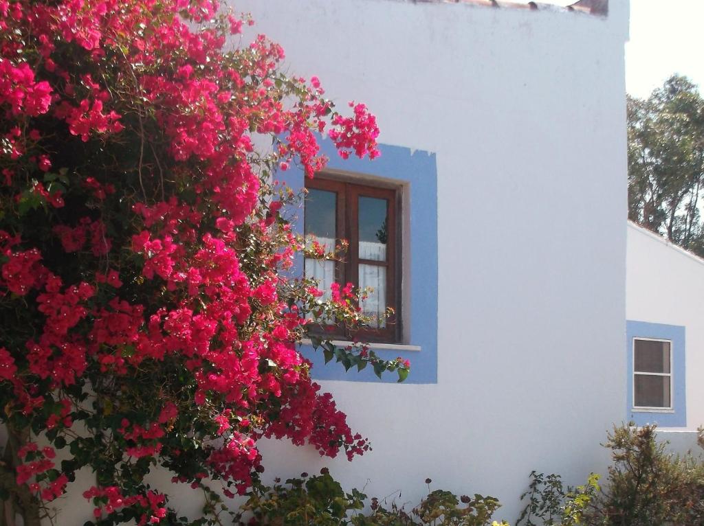 a window with pink flowers in front of a white building at Monte da Lagoa in Altura