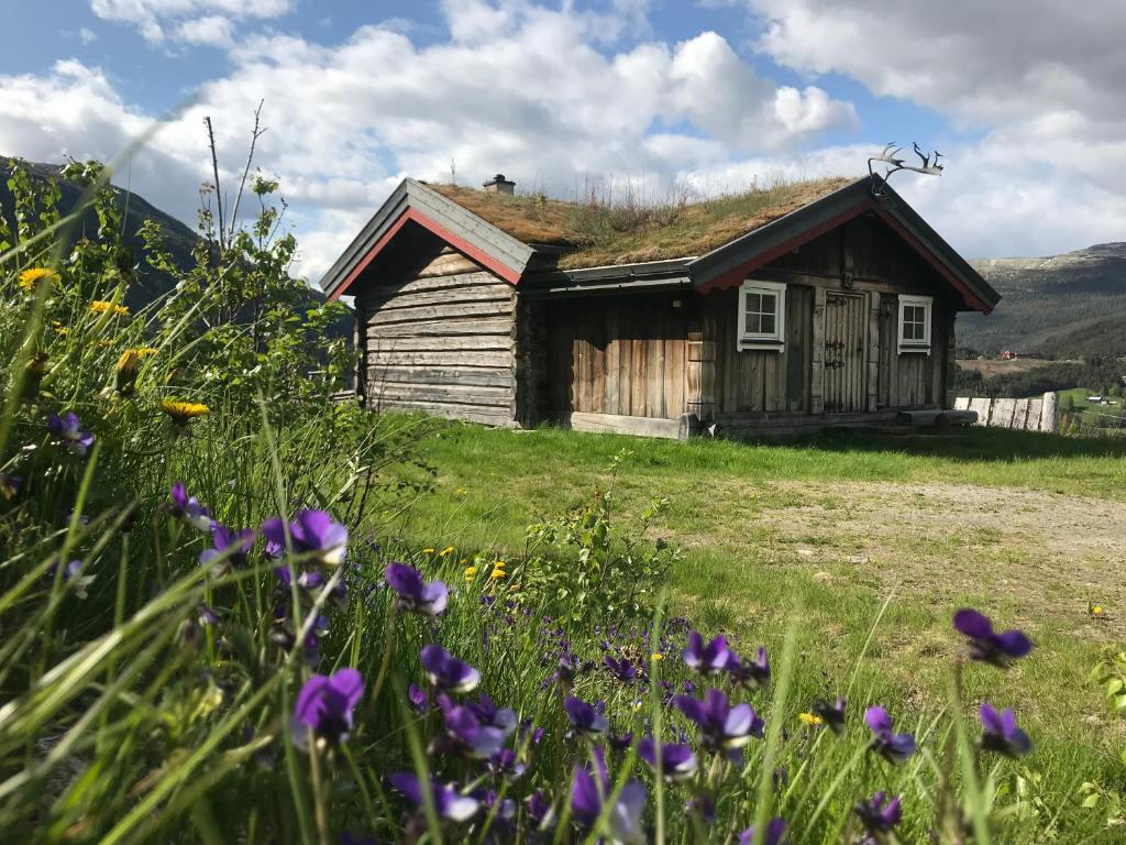 una cabaña antigua con techo de hierba y flores púrpuras en Fagerli Fjellgård, en Høvringen