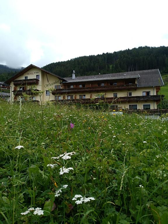 Příroda nedaleko hotelu