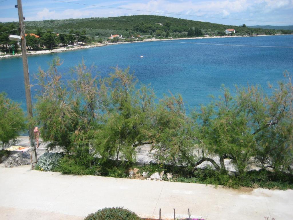 vista su una spiaggia con alberi e acqua di Apartment Lara a Žman