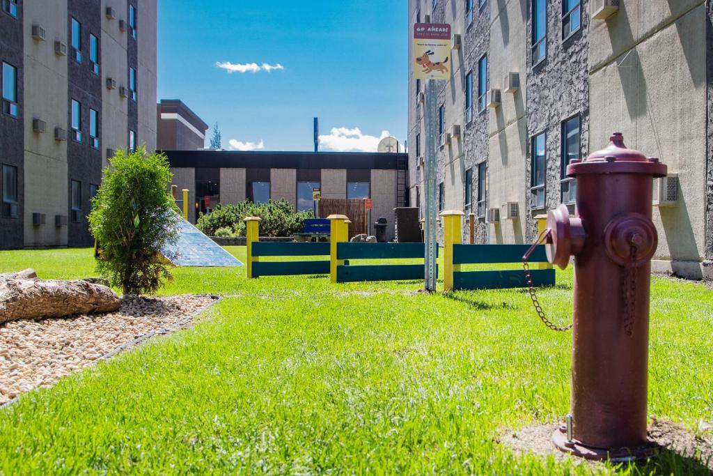 Travelodge by Wyndham Edmonton West - Resim 42