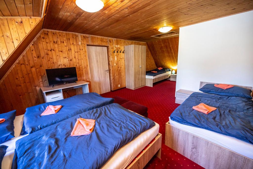 Postel nebo postele na pokoji v ubytování Penzion Svatý Petr