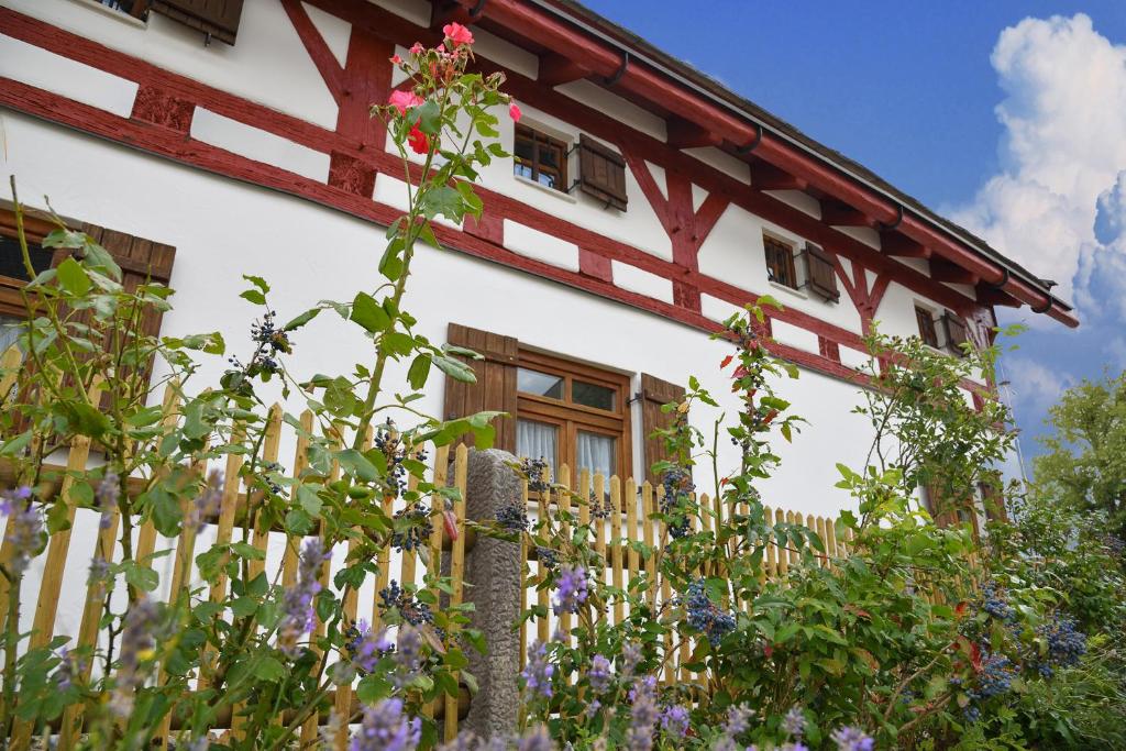 Zahrada ubytování Jurahaus Hirschberg
