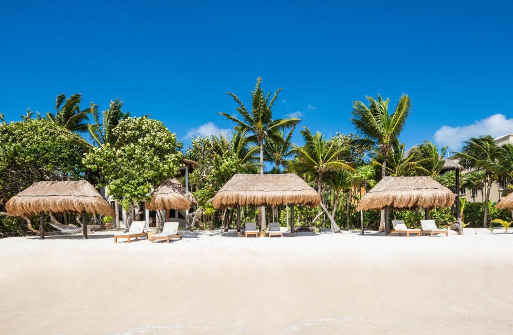 a beach with chairs and straw umbrellas and palm trees at Beachfront bungalows- Soliman Bay in Tulum