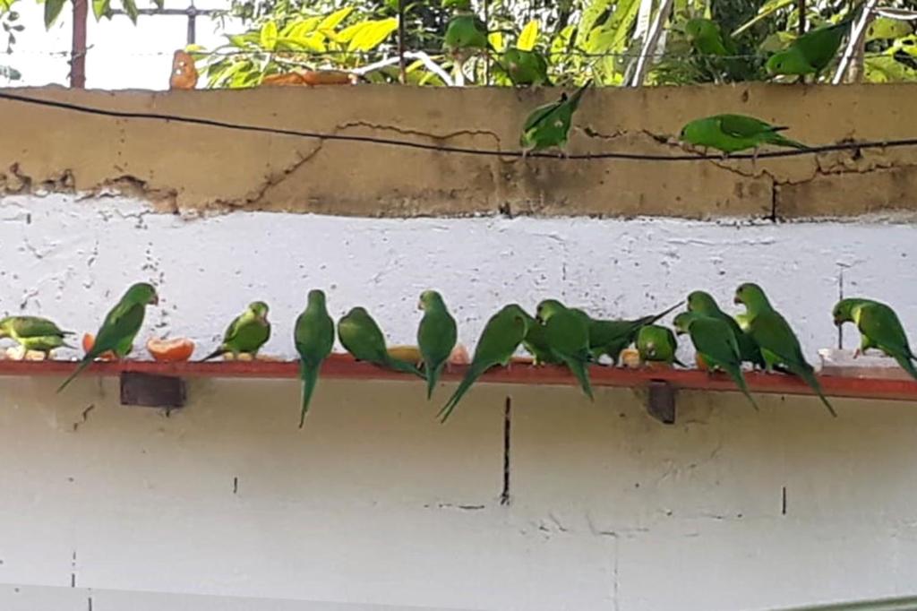  Pousada Geres Peruíbe