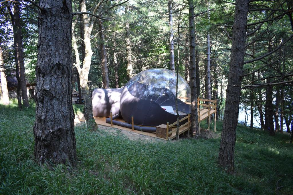 a large metal object in the middle of a forest at Bubble room sul tetto della Puglia in Biccari