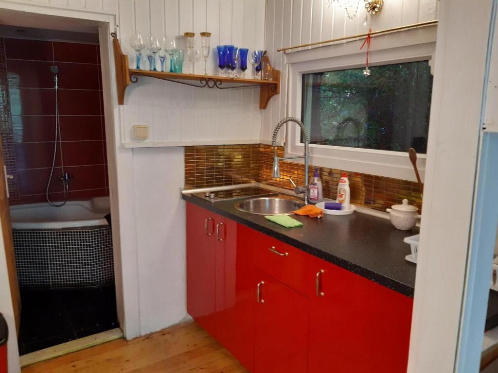 Virtuvė arba virtuvėlė apgyvendinimo įstaigoje Romantic Eco Holiday Home