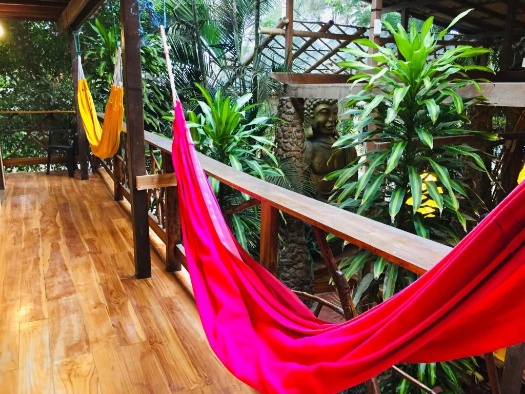 a hammock is hanging in a room with plants at Casa del Sol in Montañita