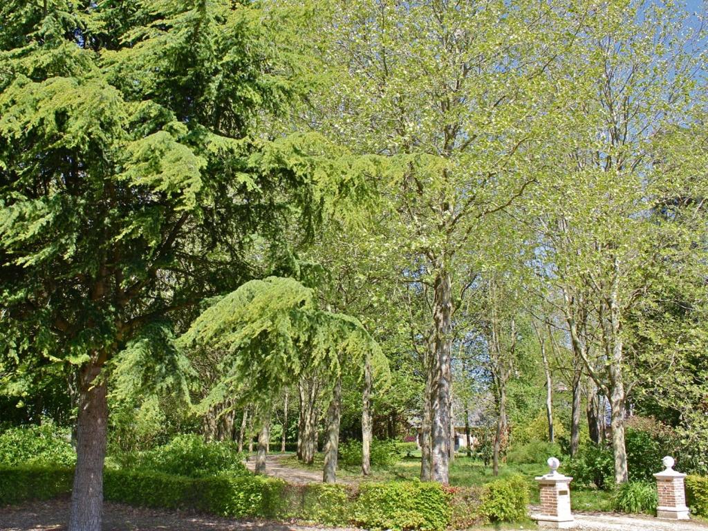 een park met een bos bomen en een pad bij B&B du Pré-Boulay in Fleury-la-Forêt