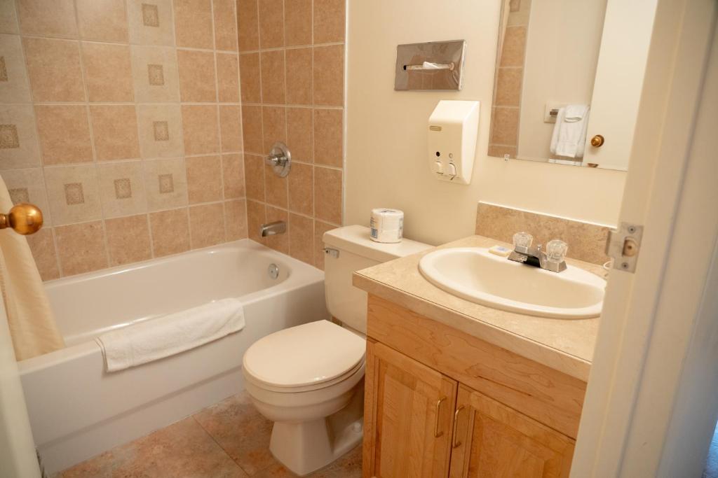 Rocky Mountain Ski Lodge - Resim 17