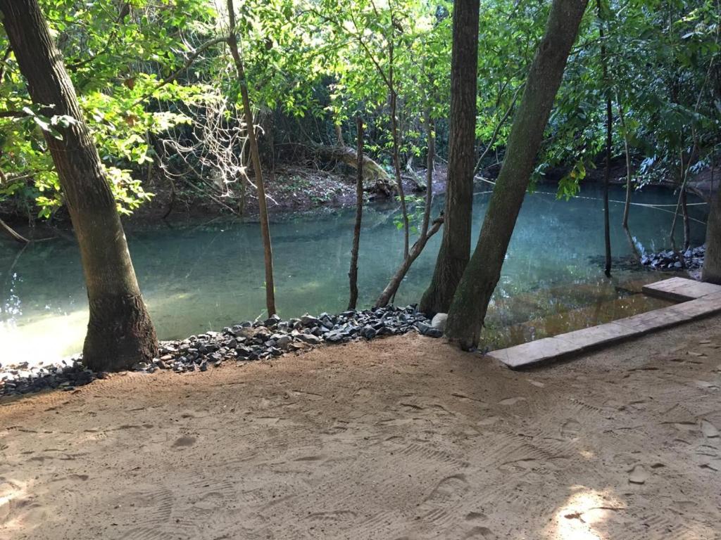  Park Veredas