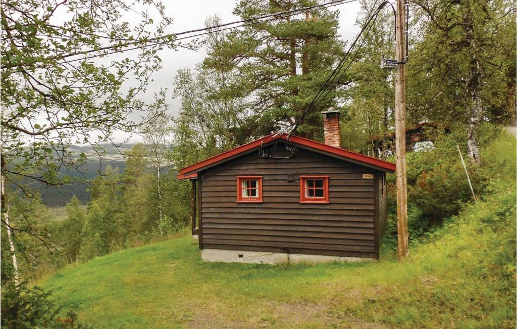 ein kleines Haus mit roten Fenstern auf einem Hügel in der Unterkunft Stunning Home In Tynset With Kitchen in Trøan