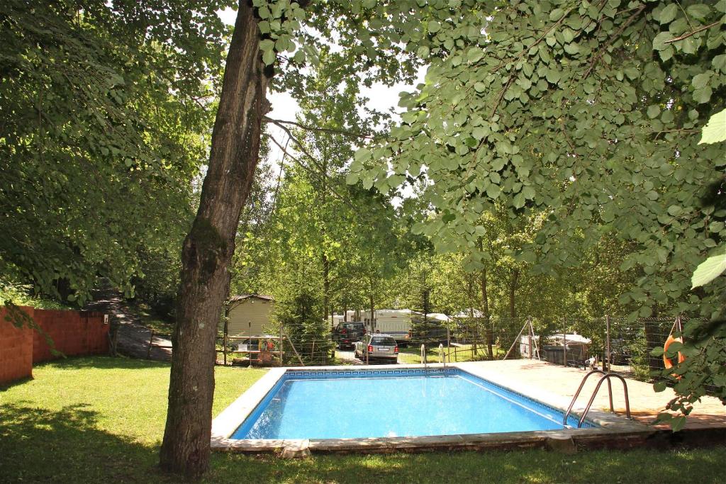 una piscina en un patio con un árbol en Camping Abadesses, en Sant Joan de les Abadesses