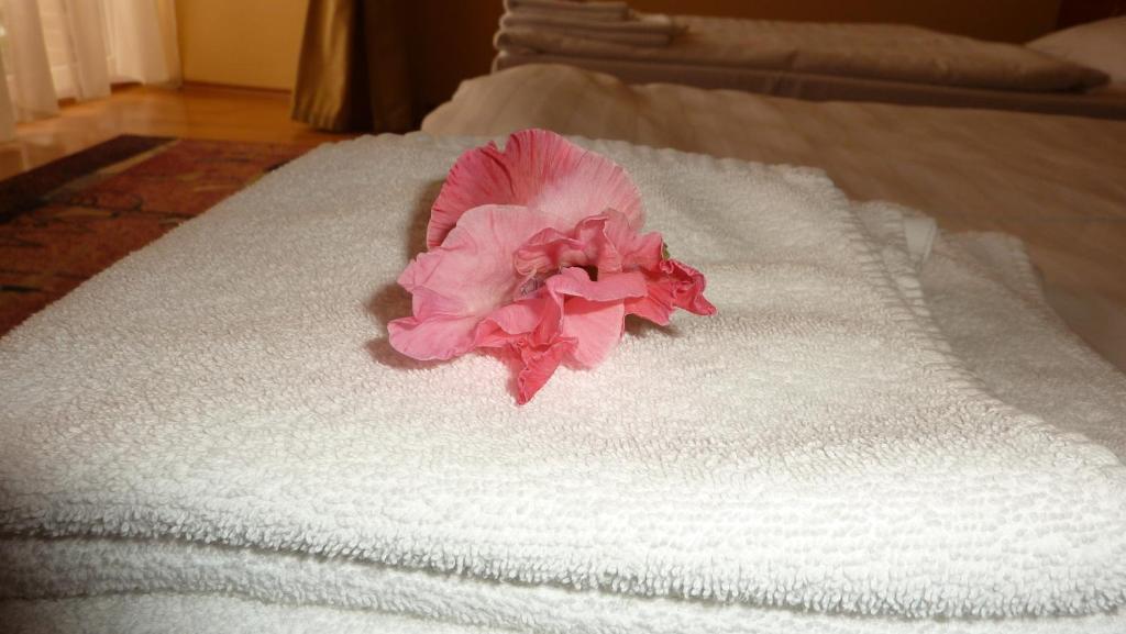 Postel nebo postele na pokoji v ubytování Hotel Banderium