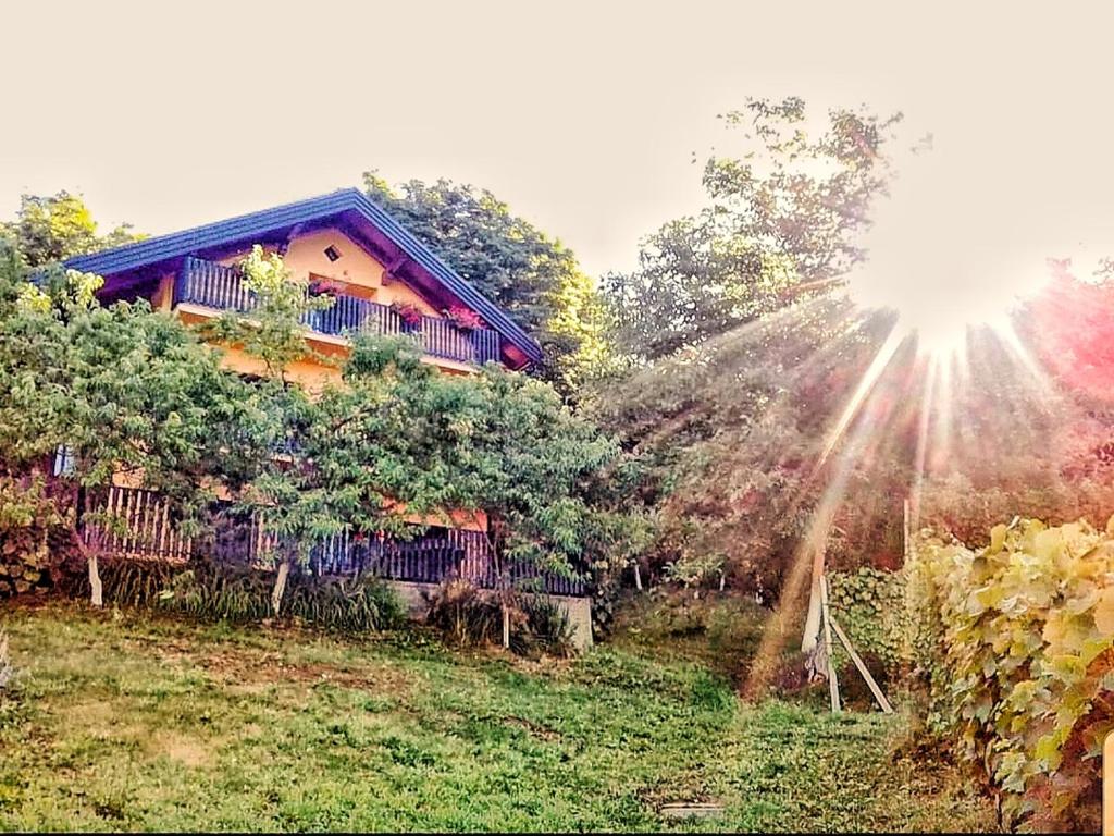 a house on a hill with the sun shining on it at Apartman Potocki in Krapina