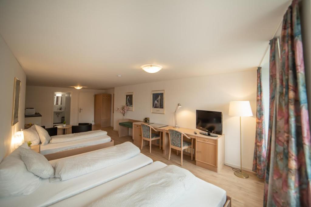 TV a/nebo společenská místnost v ubytování Hotel Mokka Laufenburg