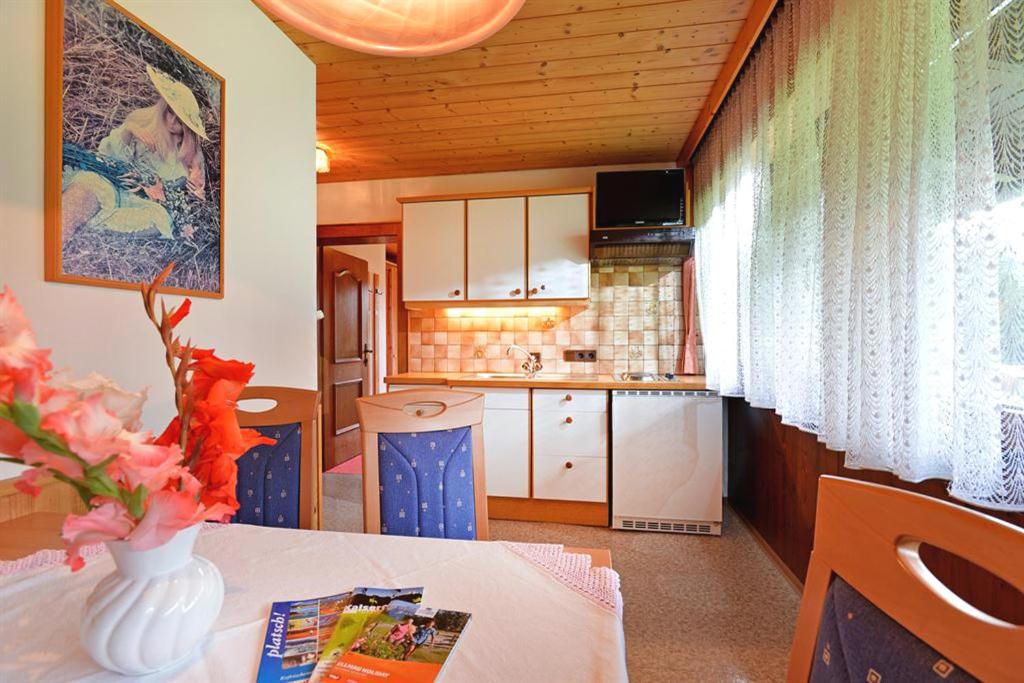 Kuchyň nebo kuchyňský kout v ubytování otto steiner appartements pension ellmau & wilder kaiser