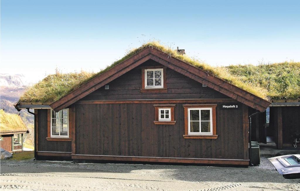 a building with a grass roof with two windows at Amazing Home In Hemsedal With 7 Bedrooms, Sauna And Wifi in Hemsedal