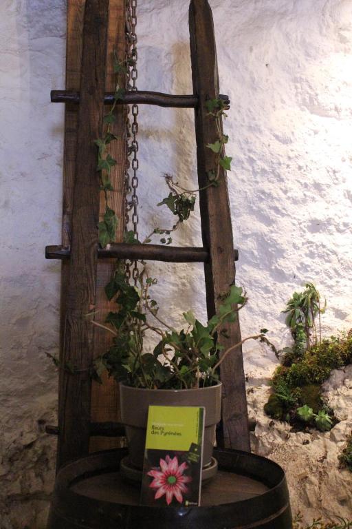Zahrada ubytování L'Oustal de l'Annetta Chambres et Tables d'Hôtes