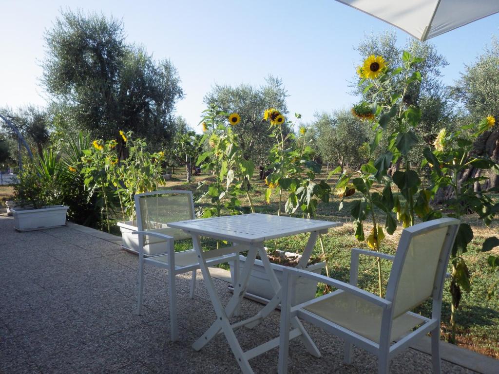 Zahrada ubytování B&B Masseria Liberatore