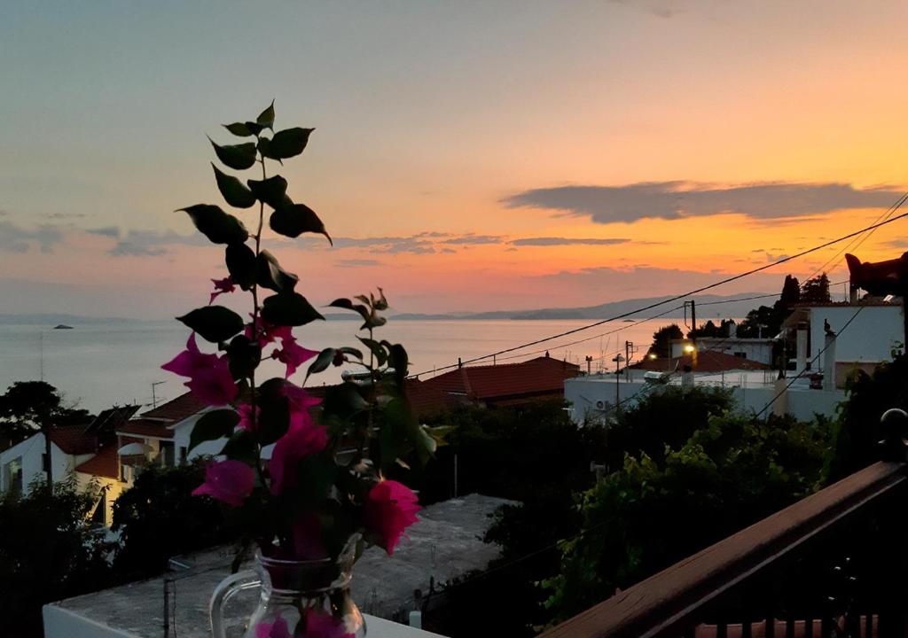 a vase with flowers sitting on a ledge with the sunset at Ocean View in Neo Klima