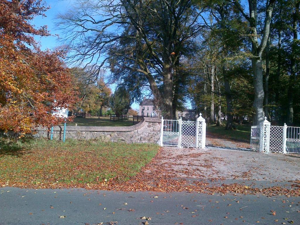 a white fence in a park with leaves on the ground at Dundrum House in Tassagh