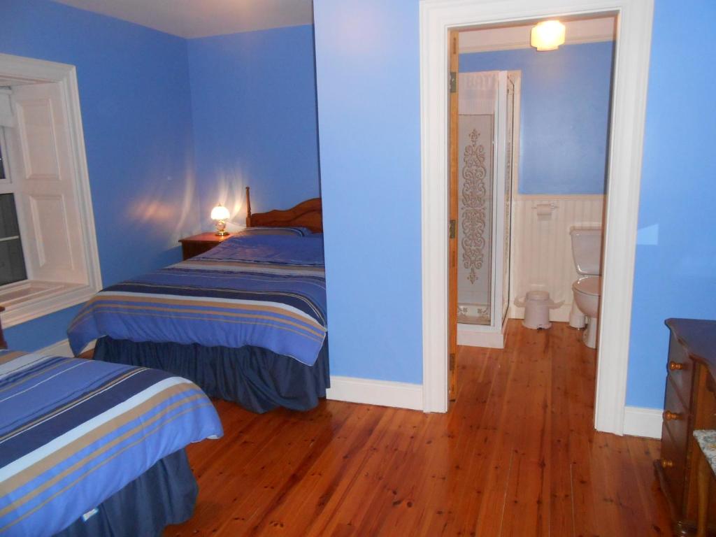 Dundrum House - Family Room
