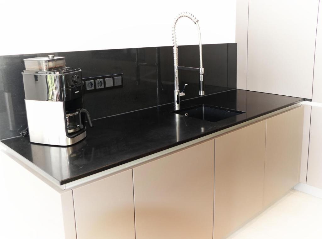 Großes Apartment im Zentrum von Dresden, 2 Schlafzimmer, 2 Bäder, Balkon - 5